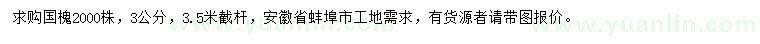 求購3公分國槐