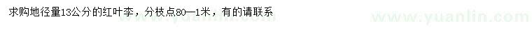 求購(gòu)地徑13公分紅葉李