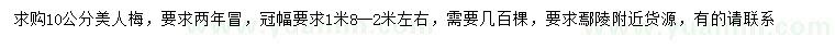 求購(gòu)10公分美人梅