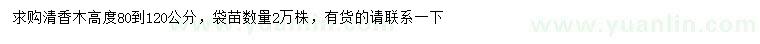 求購高80-120公分清香木