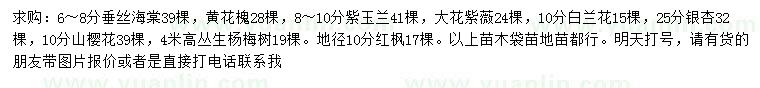 求購垂絲海棠、黃花槐、紫玉蘭等