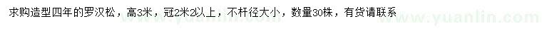 求購(gòu)高3米造型羅漢松