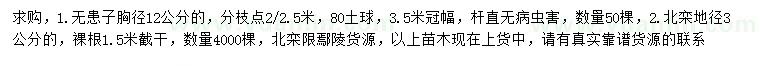 求購胸徑12公分無患子、地徑3公分北欒