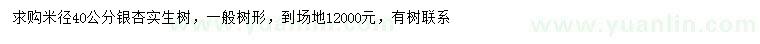 求購(gòu)米徑40公分銀杏