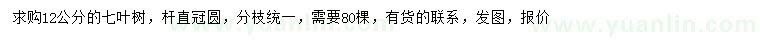求購12公分七葉樹
