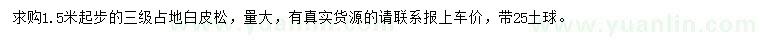 求購(gòu)1.5米以上白皮松
