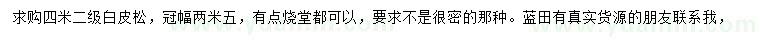 求購4米白皮松