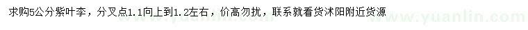 求購(gòu)5公分紫葉李