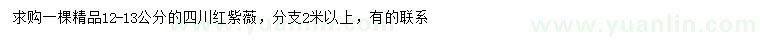 求購(gòu)12-13公分紅紫薇