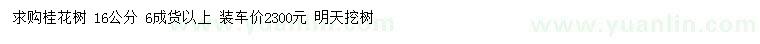 求購16公分桂花
