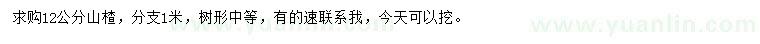 求購12公分山楂樹