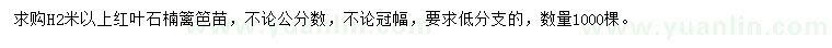 求購(gòu)高2米以上紅葉石楠