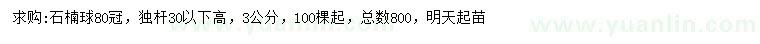 求購(gòu)冠幅80公分石楠球
