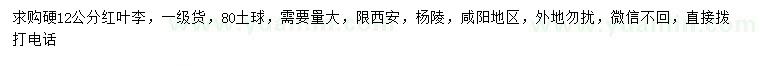 求購(gòu)12公分紅葉李