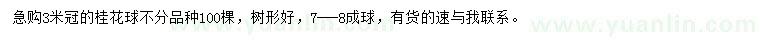 求購3米冠桂花球