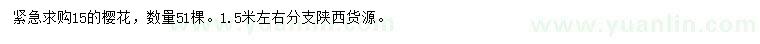求購15公分櫻花