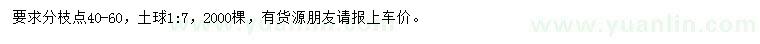 求購5-6公分枇杷