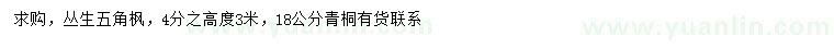 求購(gòu)叢生五角楓、18公分青桐