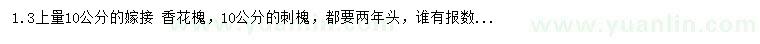 求購(gòu)10公分嫁接香花槐、10公分刺槐