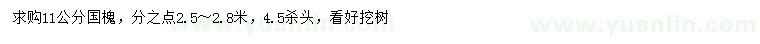 求購(gòu)11公分國(guó)槐
