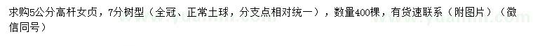 求購5公分高桿女貞