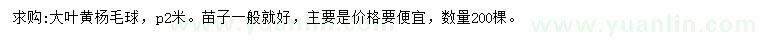 求購冠幅2米大葉黃楊球
