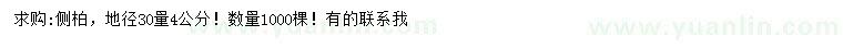 求購30量4公分側(cè)柏