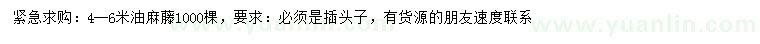 求購(gòu)4-6米油麻藤
