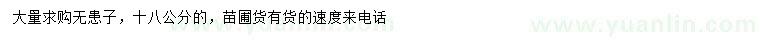 求購18公分無患子