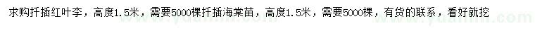 求購(gòu)高1.5米紅葉李、海棠