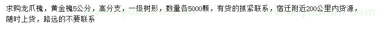 求購5公分龍爪槐、黃金槐