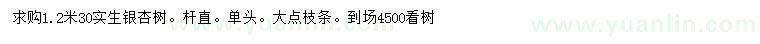 求購1.2米量30銀杏