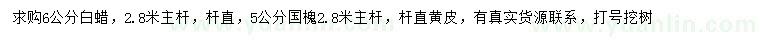 求購6公分白蠟、5公分國槐