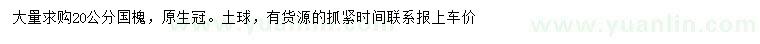 求購(gòu)20公分國(guó)槐