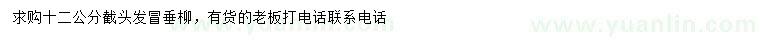 求購12公分垂柳