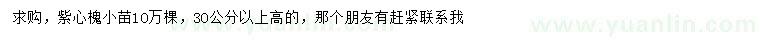 求購高30公分以上紫心槐小苗