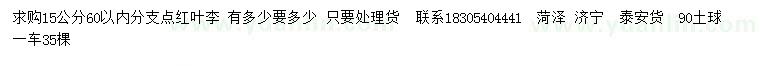 求購(gòu)15公分紅葉李