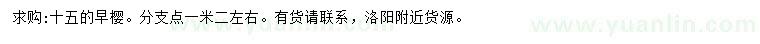 求購15公分早櫻