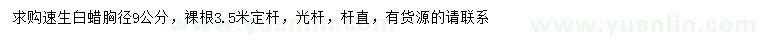 求購胸徑9公分速生白蠟