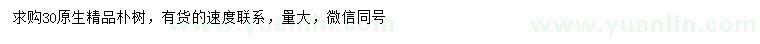 求購30公分樸樹
