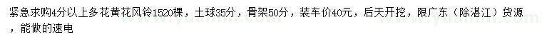 求購4公分以上多花黃花風(fēng)鈴木
