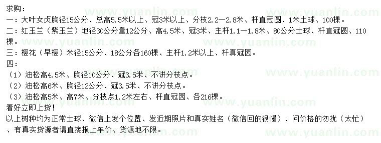 求購大葉女貞、紅玉蘭、櫻花等