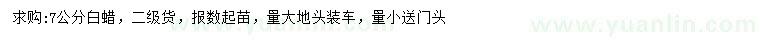 求購7公分白蠟
