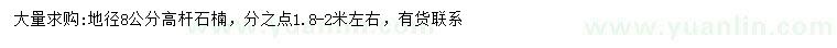 求購(gòu)地徑8公分高桿石楠
