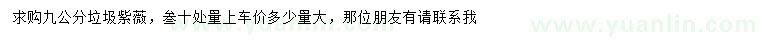 求購30量9公分紫薇