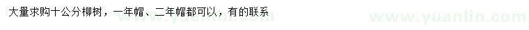 求購10公分柳樹