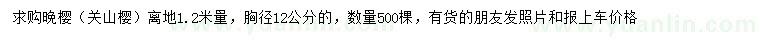 求購1.2米量12公分晚櫻
