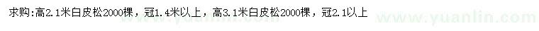 求購高2.1、3.1米白皮松