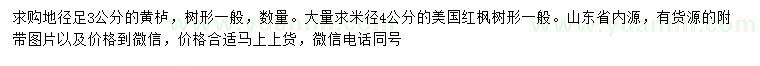 求購(gòu)地徑3公分黃櫨、米徑4公分美國(guó)紅楓