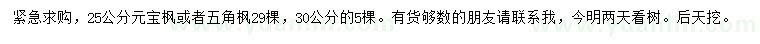 求購25、30公分元寶楓、五角楓